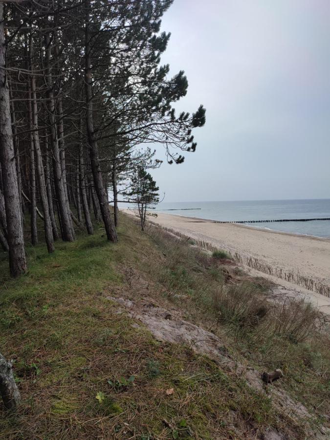Zielonka Relaks Villa Rusinowo  Bagian luar foto